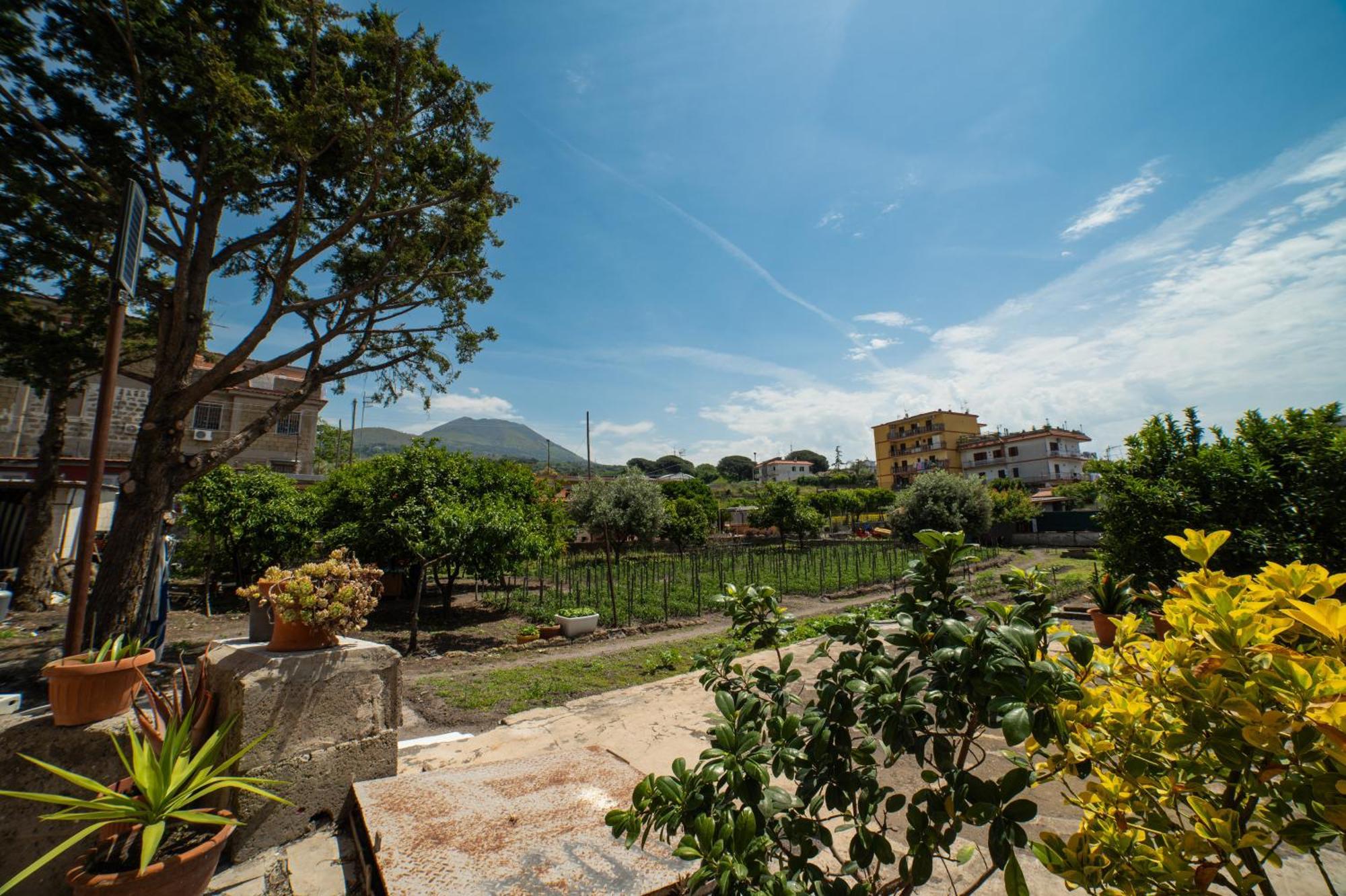 L'Orizzonte Bed & Breakfast Ercolano Exterior foto